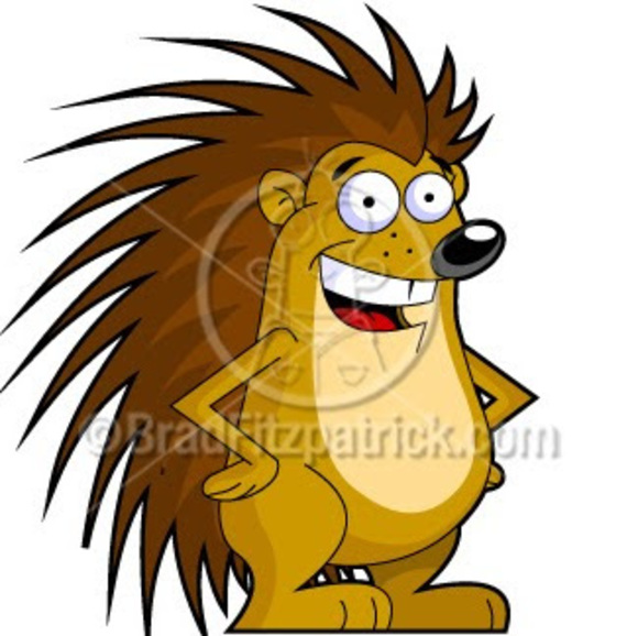 Meet your Posher, Max - Picture 1 of 1